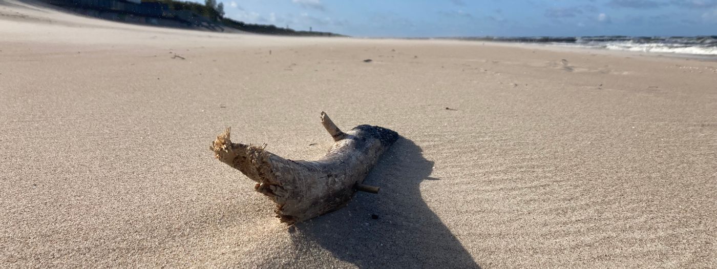 GenieĂe eine atemberaubende Landschaft