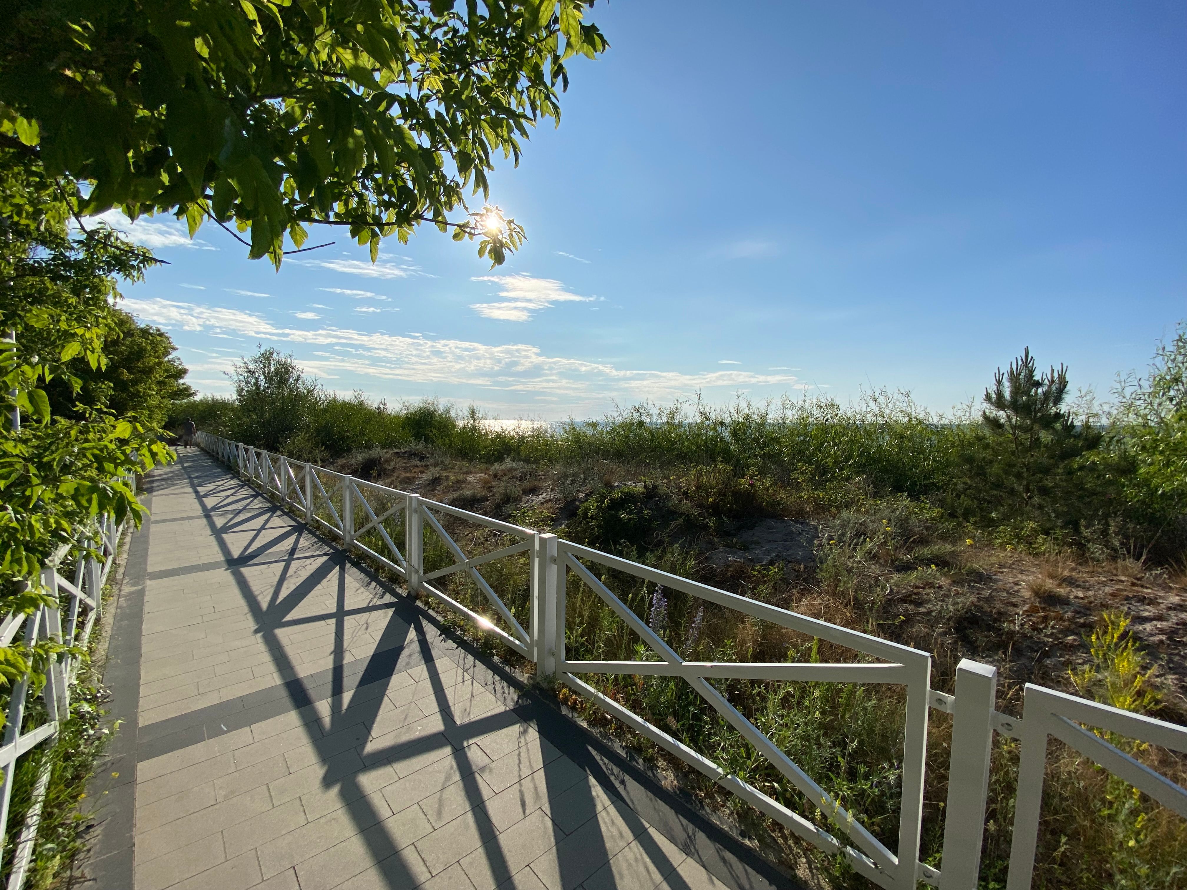 Zanurz się w pięknie lokalnej natury