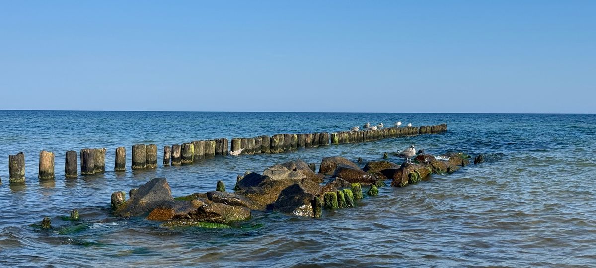 Międzywodzie