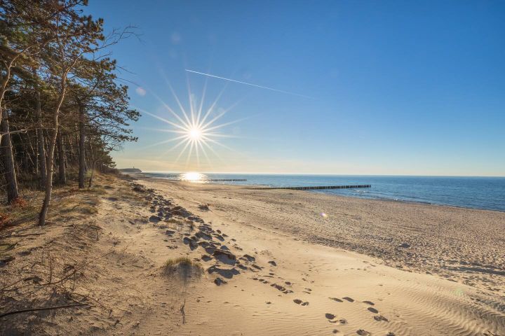 Bernstein Liebe III – deniz kenarında - Photo 5