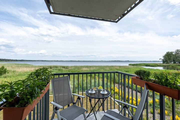 Lakeview Oasis